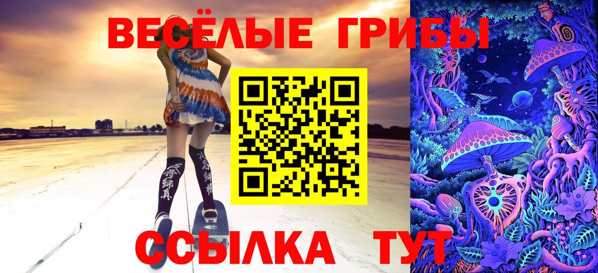 Галлюциногенные грибы Psilocybine cubensis  Вход с VPN  Псилоцибиновые грибы Cubensis  Коломна 