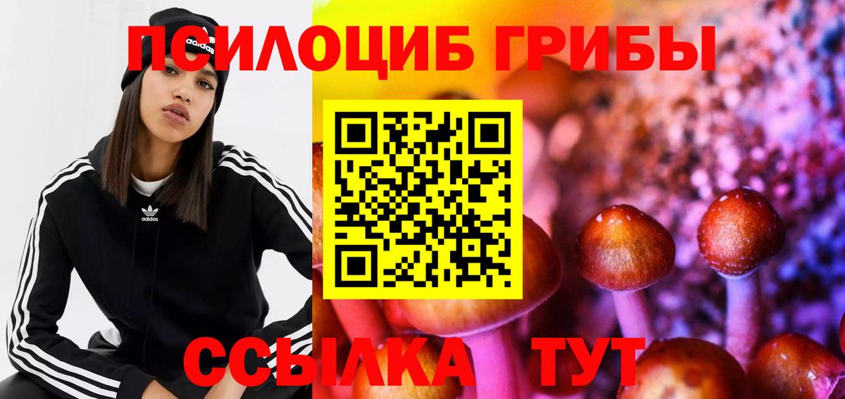 Галлюциногенные грибы MAGIC MUSHROOMS Коломна